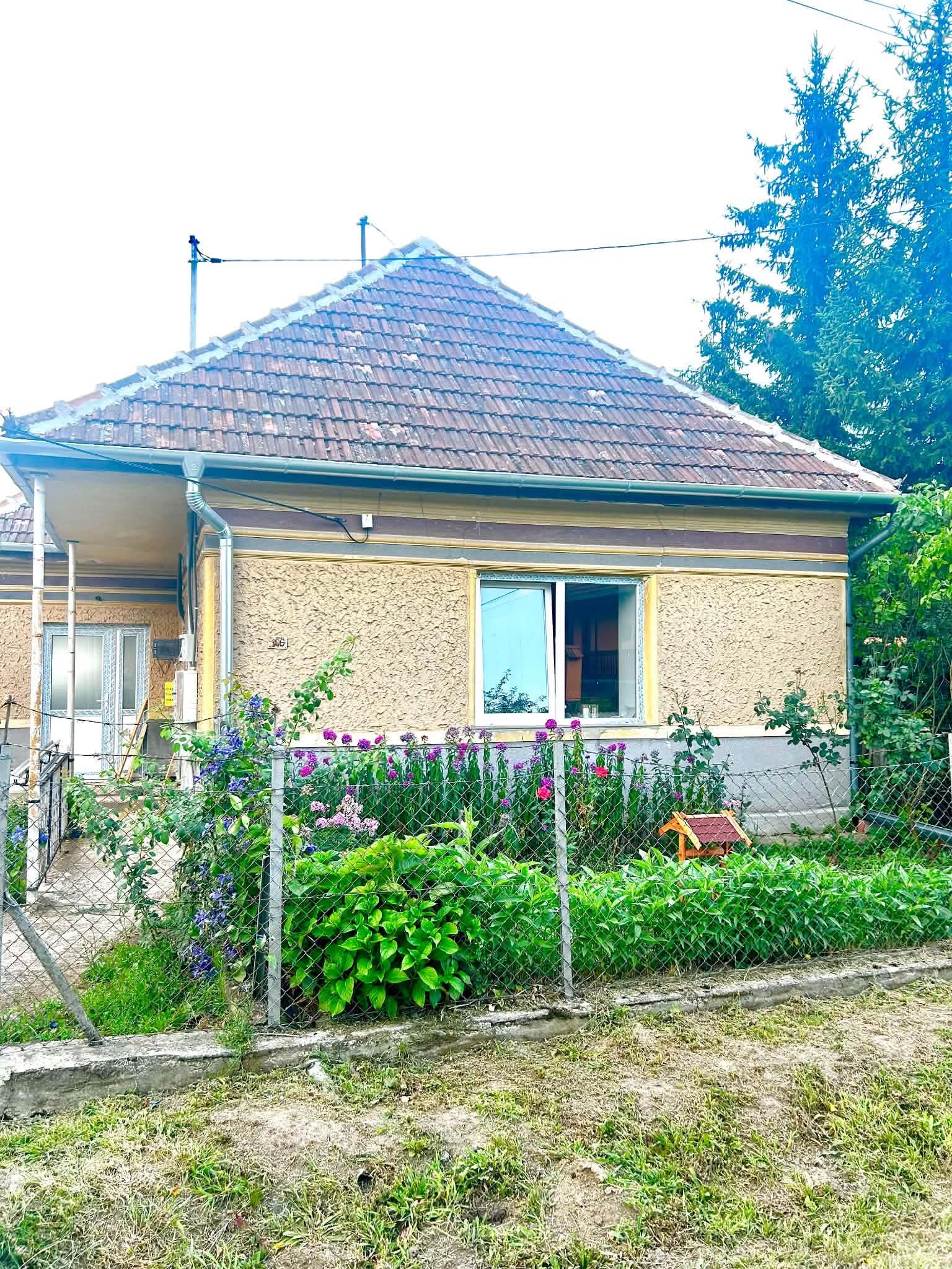 Pajkos Póni