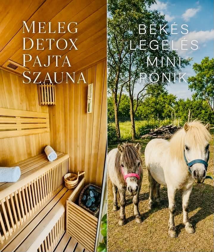 Pajkos Póni