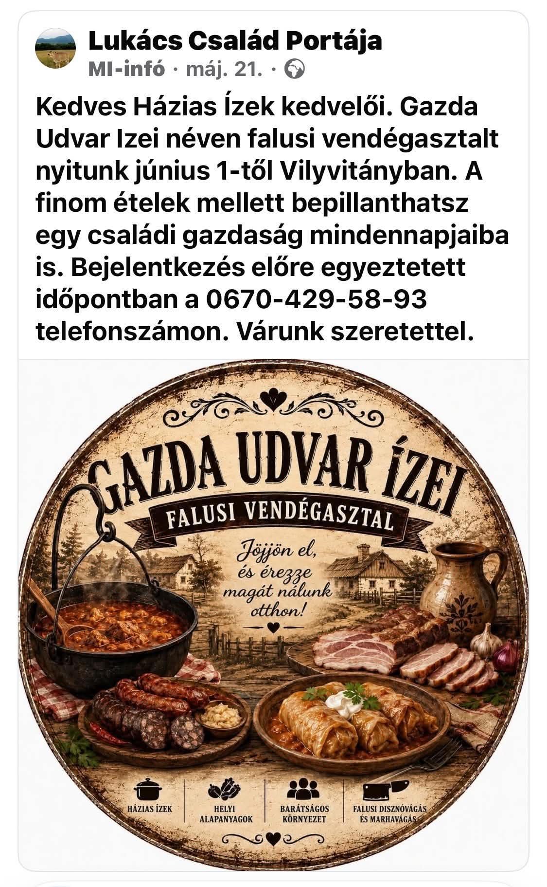 Pajkos Póni